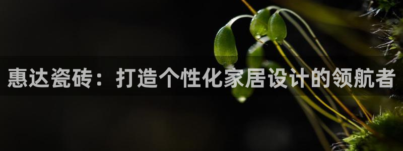 金年会 金字招牌