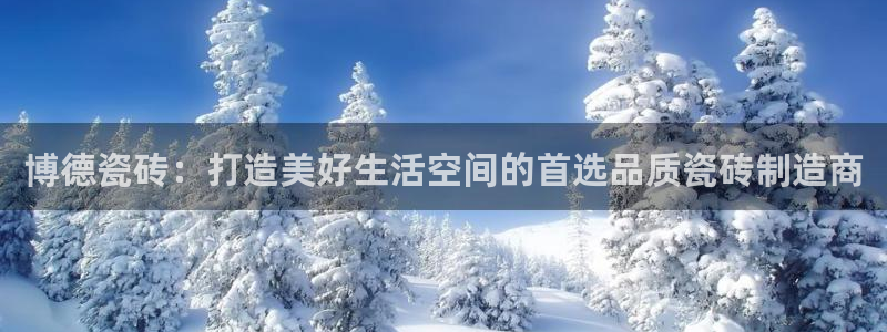 金年会退款