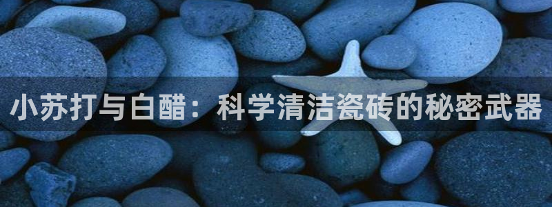 金年会app
