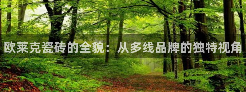 金年会官方体育登录入口
