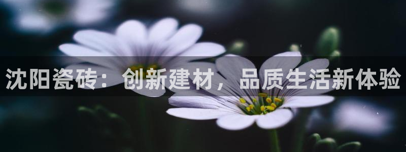 金年会体育平台在线登录