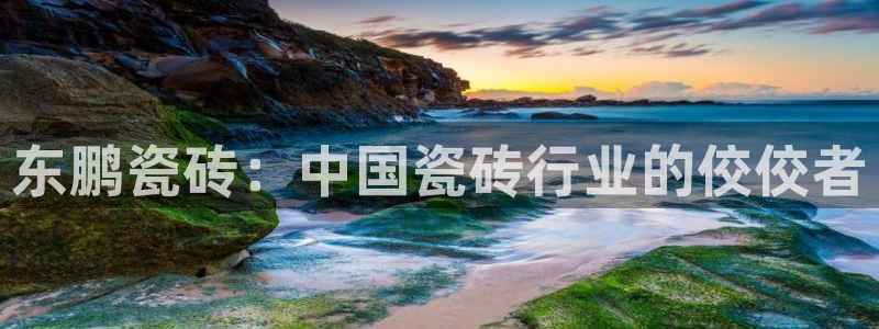 金年会在线登录