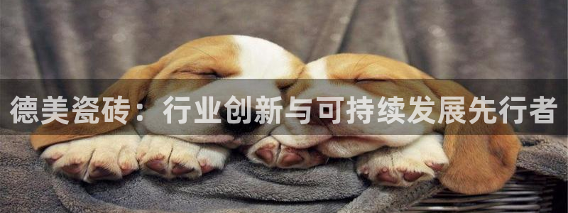 金年会体育在线入口