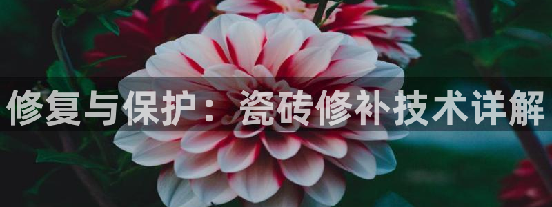 金年会网页版登陆