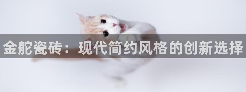 金年会能提款吗