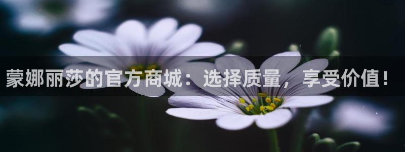 金年会在线登录