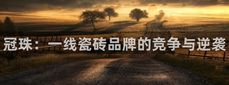 金年会是正规平台吗