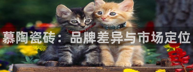 金年会体育平台在线登录