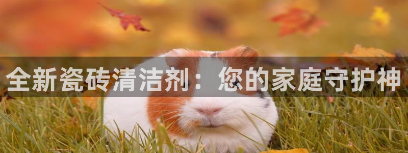 金年会彩票软件