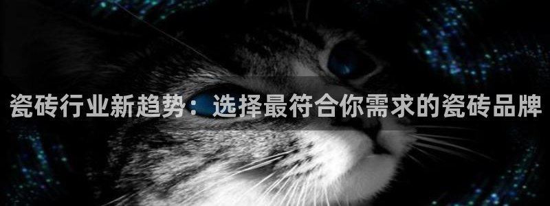 金年会软件在线下载