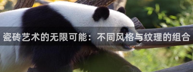 金年会娱乐下载