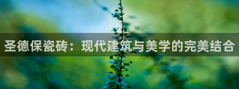 金年会金字招牌下载