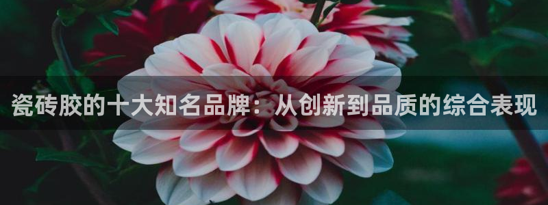 金年会金字招牌诚信