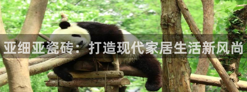 澳门金年会棋牌