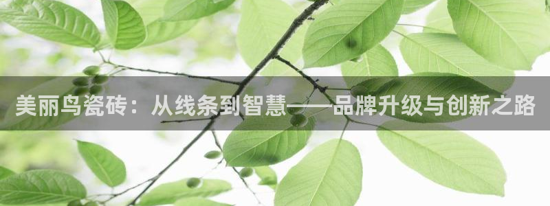 金年会网页登录