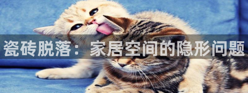 金年会最新官网