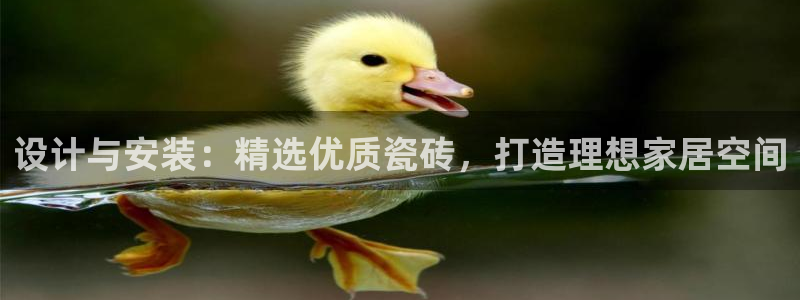 金年会 中国 金年会