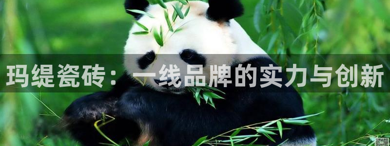 澳门金年会棋牌