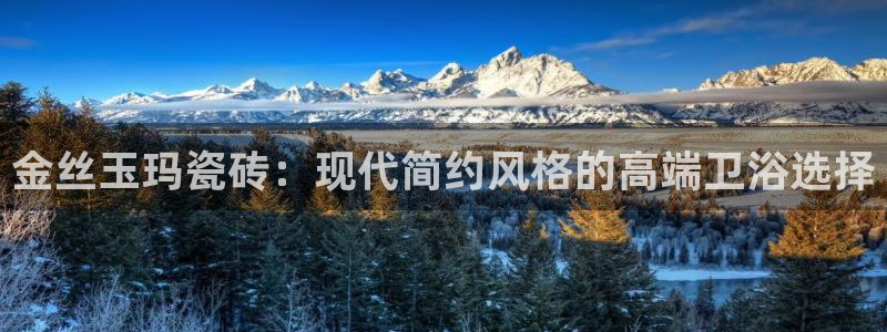 金年会金字招牌