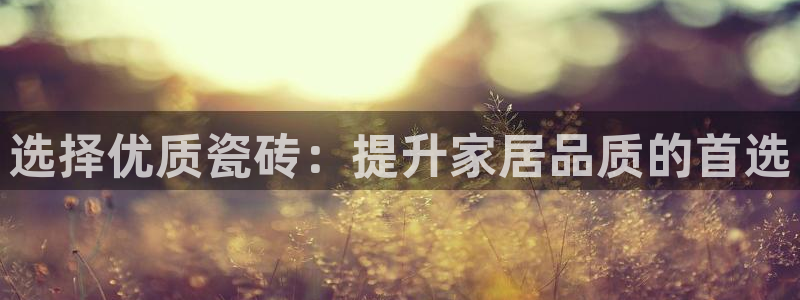 金年会平台包赔