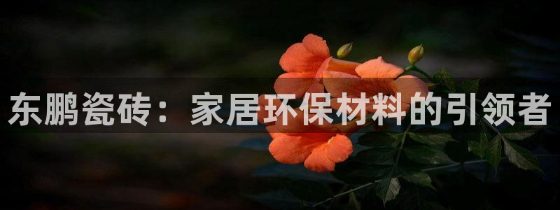 金年会平台包赔